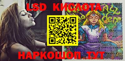 прущие грибы Конаково