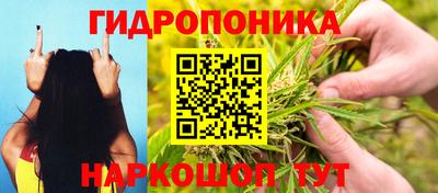 прущие грибы Конаково